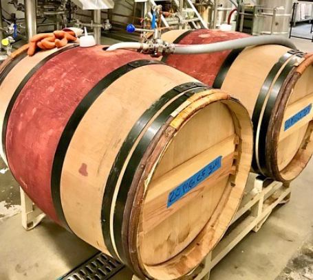 How a Beer is Born Part 2: Mashing it Up